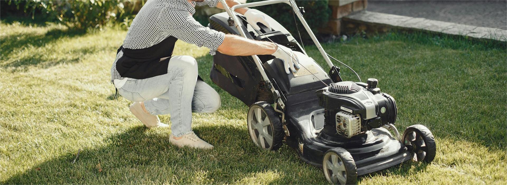 Front Page -Garden And Farm Shop pexels gustavo fring 5163433