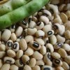 Ferry-Morse California Blackeye Cowpeas