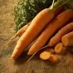 Ferry-Morse Nantes Carrots - 1 Lb