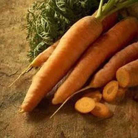 Ferry-Morse Nantes Carrots - 1 Lb 3 Ferry-Morse Nantes Carrots - 1 Lb