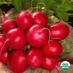 Ferry-Morse Organic Cherry Belle Radish Seed Packet - 4.5 G