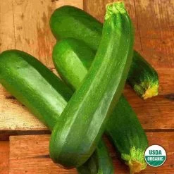 Ferry-Morse Organic Dark Green Zucchini Seed Packet - 4.25 G