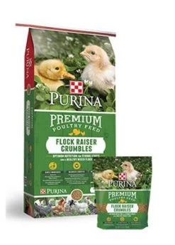 Purina Premium Flock Raiser Chick Crumbles - 5 Lbs