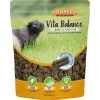 Sunseed Vita Balance Complete Nutrition Adult Guinea Pig Food - 4 Lb -Garden And Farm Shop sunseed374107 1 1