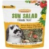Sunseed Sun Salad Foraging Treat With Blend Of Hay, Herbs & Vegetables For Rabbits - 10 Oz -Garden And Farm Shop sunseed374128 1 1