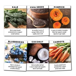 Wildology Swim Salmon & Brown Rice Dog Food - 28 Lbs -Garden And Farm Shop superlifepro ingredients 1000x1000 1