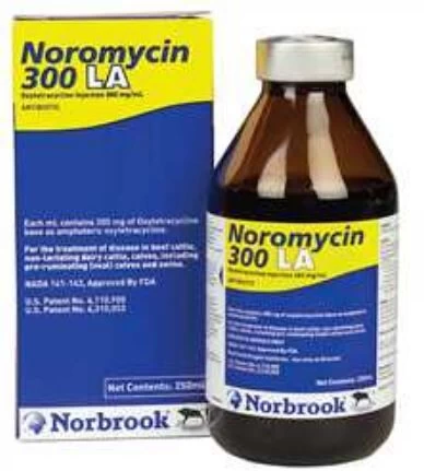 Norbrook Noromycin 300 LA - 250 Ml 3 Norbrook Noromycin 300 LA - 250 Ml