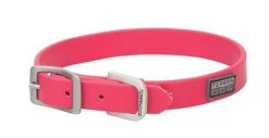 Weaver Leather Brahma Webb Dog Collar - Hot Pink