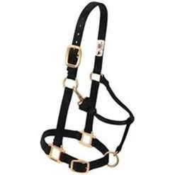 Weaver Leather Original Adjustable Horse Halter 32 Weaver Leather Original Adjustable Horse Halter -Garden And Farm Shop weaverleather6872064 1