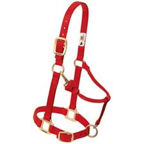 Weaver Leather Original Adjustable Horse Halter 19 Weaver Leather Original Adjustable Horse Halter - Image 17