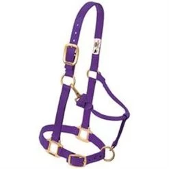 Weaver Leather Original Adjustable Horse Halter 39 Weaver Leather Original Adjustable Horse Halter -Garden And Farm Shop weaverleather6872069 1