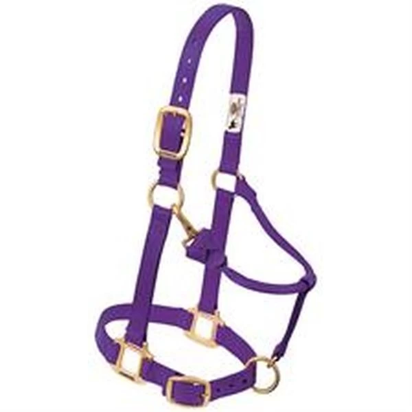 Weaver Leather Original Adjustable Horse Halter 20 Weaver Leather Original Adjustable Horse Halter - Image 18
