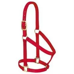 Weaver Leather Basic Non-Adjustable Halter 1" -Garden And Farm Shop weaverleather6872114 1