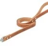 Weaver Leather Leather Dog Leash - Russet, 6 Ft