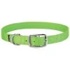 Weaver Leather Goat Collar - Lime Zest, Nylon, 5/8 In