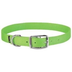 Weaver Leather Goat Collar - Lime Zest, Nylon, 5/8 In