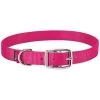 Weaver Leather Goat Collar - Hot Pink, Nylon, 5/8 In