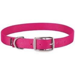 Weaver Leather Goat Collar - Hot Pink, Nylon, 5/8 In