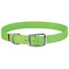 Weaver Leather Goat Collar - Lime Zest, Nylon, 3/4 In