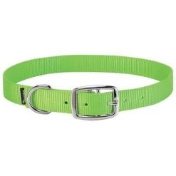 Weaver Leather Goat Collar - Lime Zest, Nylon, 3/4 In