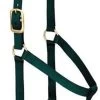 Weaver Leather Basic Non-Adjustable Halter 1"