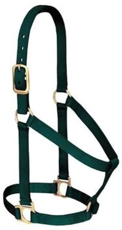 Weaver Leather Basic Non-Adjustable Halter 1"