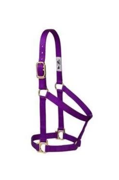 Weaver Leather Basic Non-Adjustable Halter 1" -Garden And Farm Shop weaverleather968711548 1