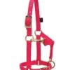 Weaver Leather Adjustable Chin & Throat Snap Halter - Diva Pink -Garden And Farm Shop weaverleather968713197 1 1
