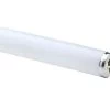 Westpointe 2 Pack 48 In. 32W T8 Linear Fluorescent Tube - White