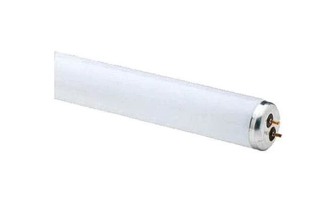 Westpointe 2 Pack 48 In. 32W T8 Linear Fluorescent Tube - White 3 Westpointe 2 Pack 48 In. 32W T8 Linear Fluorescent Tube - White