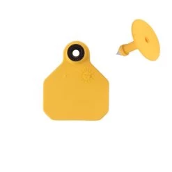 Y-Tex 1 Star Mini Tag -Garden And Farm Shop ytex435047 1