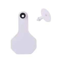 Y-Tex All American 2 Star Combo Blanks - White