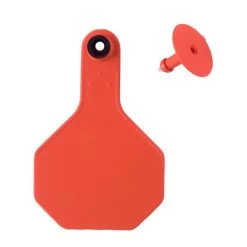 Y-Tex 25 Pack Livestock Tag Blank Medium - Orange