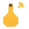 Y-Tex 25 Pack Livestock Tag Blank Medium - Yellow