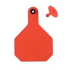 Y-Tex 25 Pack 4 Star Livestock Tag Blank Medium - Orange