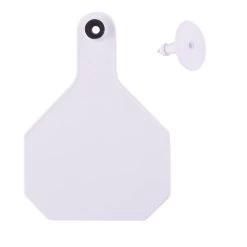 Y-Tex 25 Pack 4 Star Livestock Tag Blank Medium - White