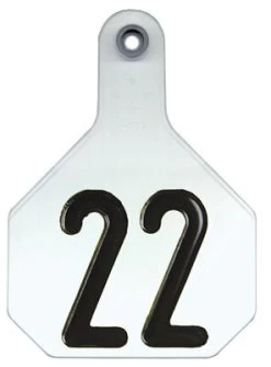 Y-Tex 25 Pack 4 Star Livestock Tag Numbered Medium - White