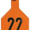 Y-Tex 25 Pack 4 Star Livestock Tag Numbered Medium - Orange