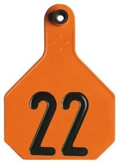 Y-Tex 25 Pack 4 Star Livestock Tag Numbered Medium - Orange
