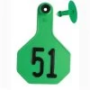 Y-Tex 3* All American Tags #51-75 - Green