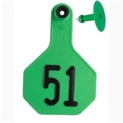 Y-Tex 3* All American Tags #51-75 - Green